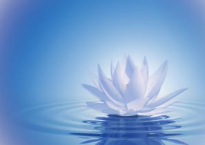 Reiki – harmonizace a výuka v systému Usui Reiki Ryoho